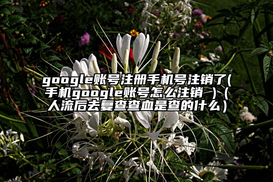 google账号注册手机号注销了(手机google账号怎么注销 )（人流后去复查查血是查的什么）