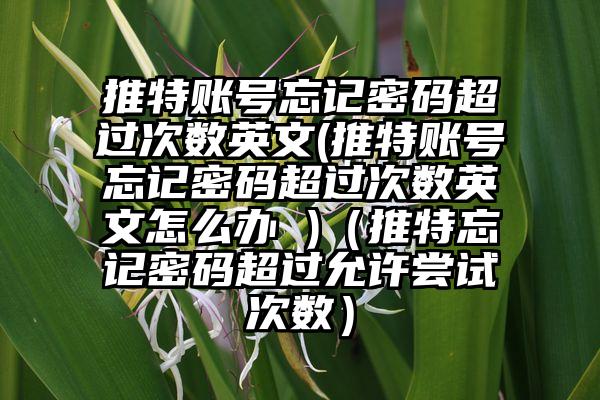 推特账号忘记密码超过次数英文(推特账号忘记密码超过次数英文怎么办 )（推特忘记密码超过允许尝试次数）
