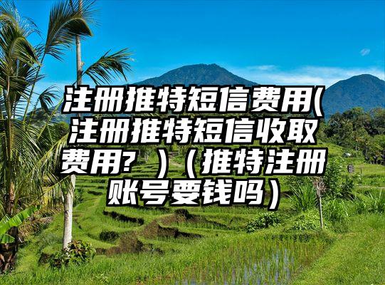注册推特短信费用(注册推特短信收取费用? )（推特注册账号要钱吗）