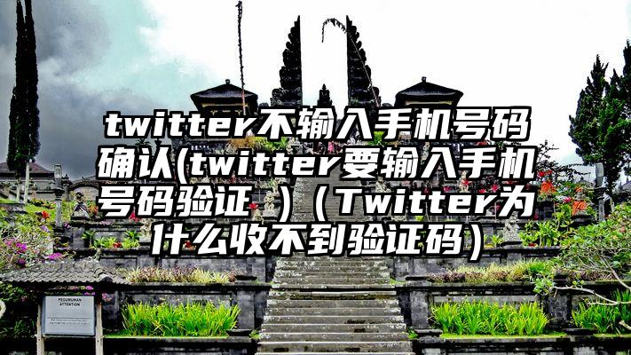 twitter不输入手机号码确认(twitter要输入手机号码验证 )（Twitter为什么收不到验证码）