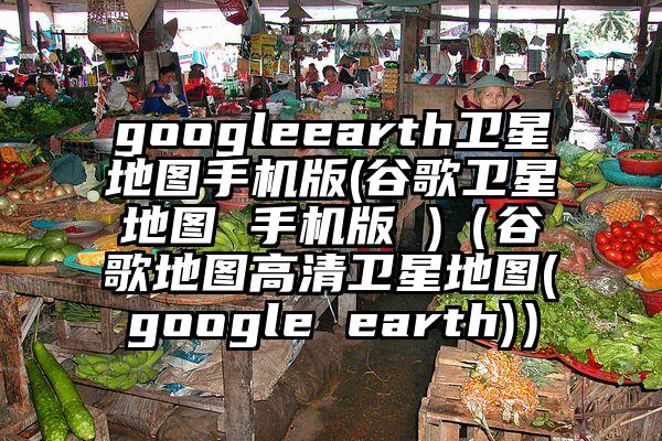 googleearth卫星地图手机版(谷歌卫星地图 手机版 )（谷歌地图高清卫星地图(google earth)）