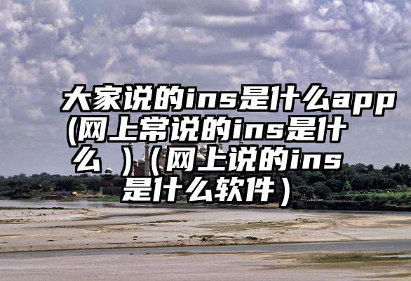 大家说的ins是什么app(网上常说的ins是什么 )（网上说的ins是什么软件）