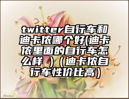 twitter自行车和迪卡侬哪个好(迪卡侬里面的自行车怎么样 )(迪卡侬自行车性价比高)