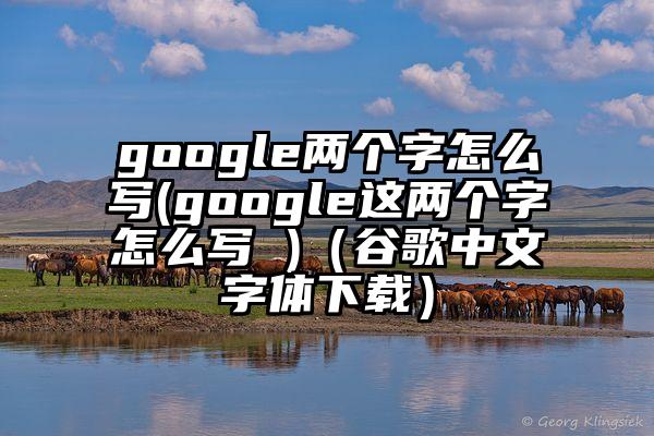 google两个字怎么写(google这两个字怎么写 )（谷歌中文字体下载）