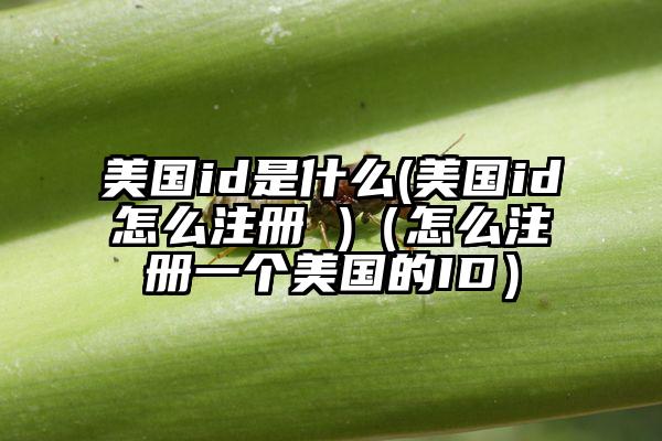 美国id是什么(美国id怎么注册 )（怎么注册一个美国的ID）