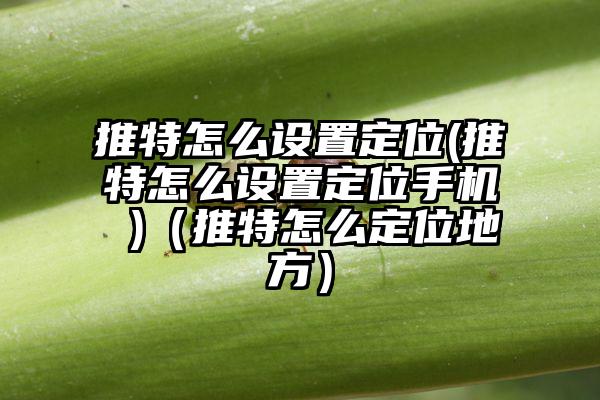 推特怎么设置定位(推特怎么设置定位手机 )（推特怎么定位地方）