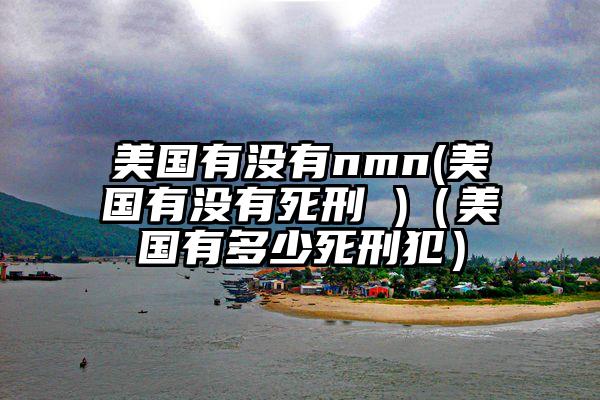 美国有没有nmn(美国有没有死刑 )（美国有多少死刑犯）