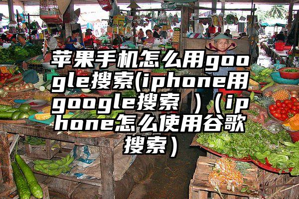 苹果手机怎么用google搜索(iphone用google搜索 )（iphone怎么使用谷歌搜索）