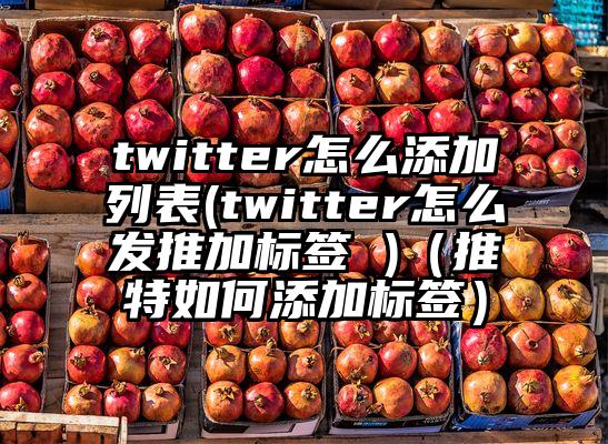 twitter怎么添加列表(twitter怎么发推加标签 )（推特如何添加标签）