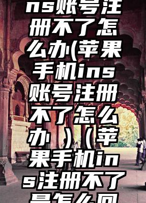 苹果手机ins账号注册不了怎么办(苹果手机ins账号注册不了怎么办 )（苹果手机ins注册不了是怎么回事）