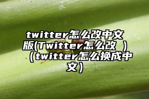twitter怎么改中文版(Twitter怎么改 )（twitter怎么换成中文）