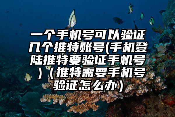一个手机号可以验证几个推特账号(手机登陆推特要验证手机号 )(推特需要手机号验证怎么办)