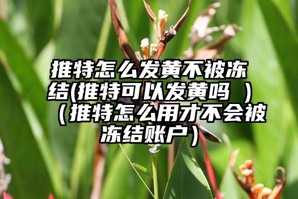 推特怎么发黄不被冻结(推特可以发黄吗 )（推特怎么用才不会被冻结账户）