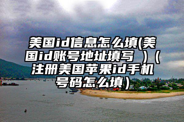 美国id信息怎么填(美国id账号地址填写 )（注册美国苹果id手机号码怎么填）