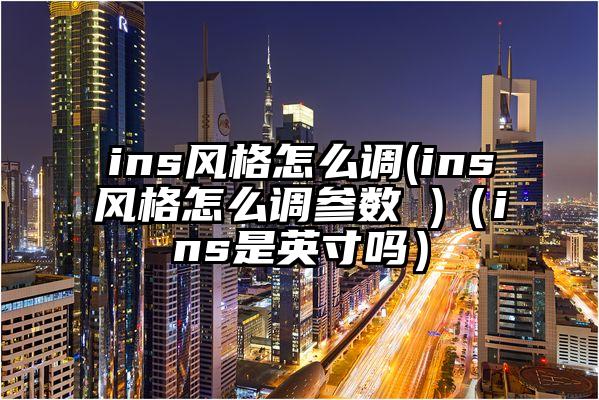 ins风格怎么调(ins风格怎么调参数 )（ins是英寸吗）