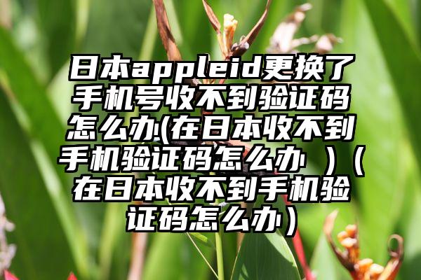 日本appleid更换了手机号收不到验证码怎么办(在日本收不到手机验证码怎么办 )（在日本收不到手机验证码怎么办）