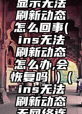 ins一直显示无法刷新动态怎么回事(ins无法刷新动态怎么办,会恢复吗 )（ins无法刷新动态无网络连接）