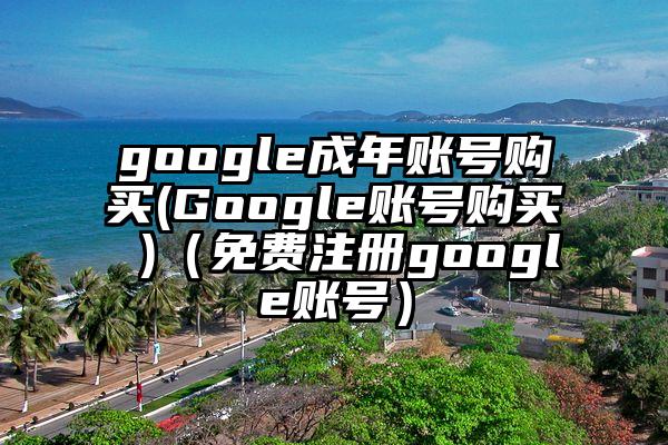 google成年账号购买(Google账号购买 )（免费注册google账号）