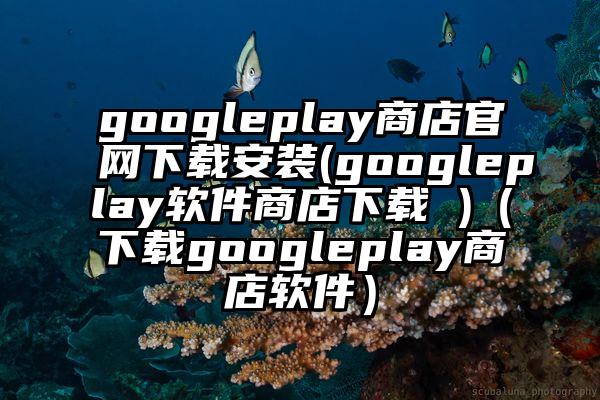 googleplay商店官网下载安装(googleplay软件商店下载 )（下载googleplay商店软件）