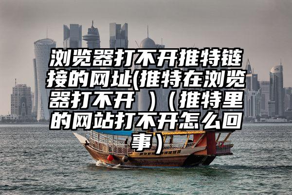 浏览器打不开推特链接的网址(推特在浏览器打不开 )（推特里的网站打不开怎么回事）