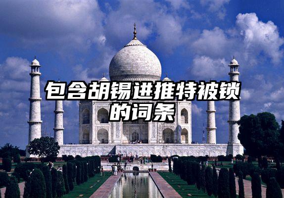 包含胡锡进推特被锁的词条