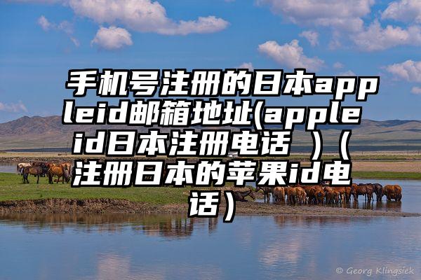 手机号注册的日本appleid邮箱地址(appleid日本注册电话 )（注册日本的苹果id电话）