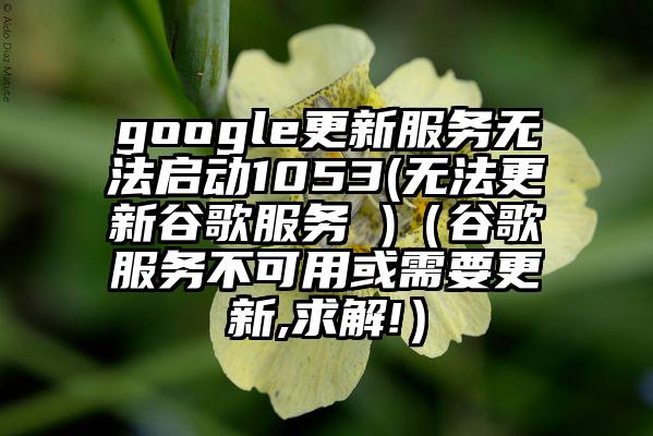 google更新服务无法启动1053(无法更新谷歌服务 )（谷歌服务不可用或需要更新,求解!）