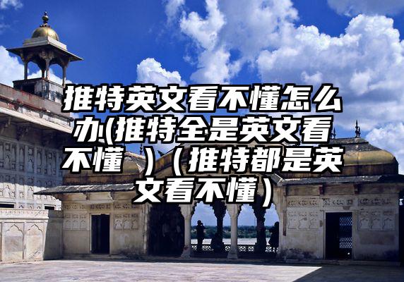 推特英文看不懂怎么办(推特全是英文看不懂 )（推特都是英文看不懂）