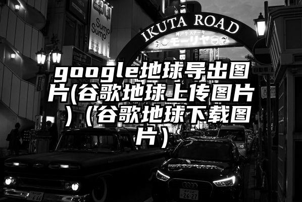 google地球导出图片(谷歌地球上传图片 )（谷歌地球下载图片）