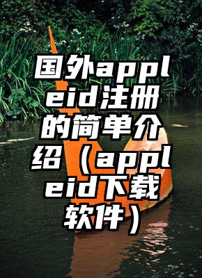 国外appleid注册的简单介绍（appleid下载软件）