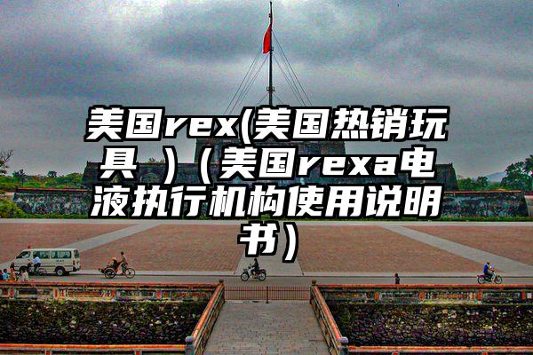 美国rex(美国热销玩具 )（美国rexa电液执行机构使用说明书）