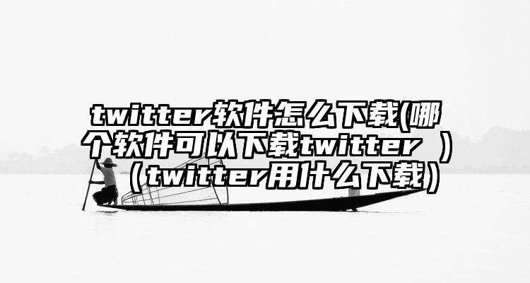 twitter软件怎么下载(哪个软件可以下载twitter )（twitter用什么下载）
