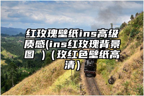 红玫瑰壁纸ins高级质感(ins红玫瑰背景图 )（玫红色壁纸高清）