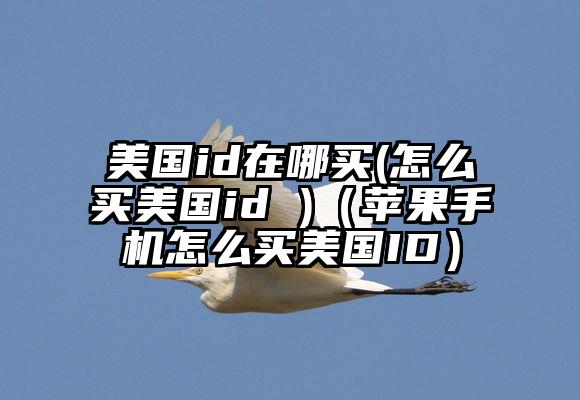 美国id在哪买(怎么买美国id )（苹果手机怎么买美国ID）