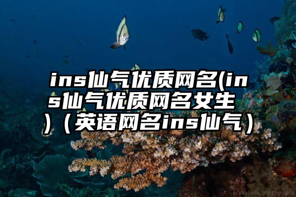 ins仙气优质网名(ins仙气优质网名女生 )（英语网名ins仙气）