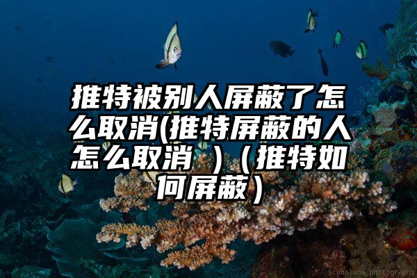 推特被别人屏蔽了怎么取消(推特屏蔽的人怎么取消 )（推特如何屏蔽）