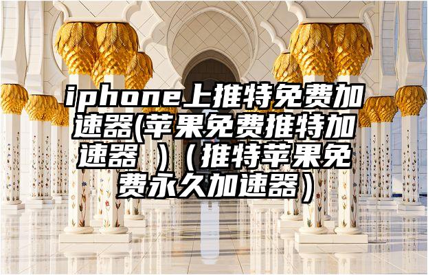 iphone上推特免费加速器(苹果免费推特加速器 )（推特苹果免费永久加速器）