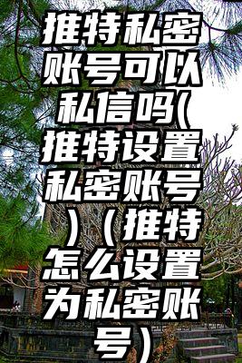 推特私密账号可以私信吗(推特设置私密账号 )（推特怎么设置为私密账号）