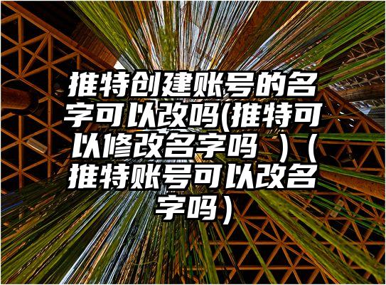 推特创建账号的名字可以改吗(推特可以修改名字吗 )（推特账号可以改名字吗）