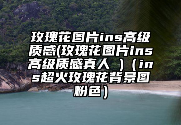 玫瑰花图片ins高级质感(玫瑰花图片ins高级质感真人 )（ins超火玫瑰花背景图粉色）