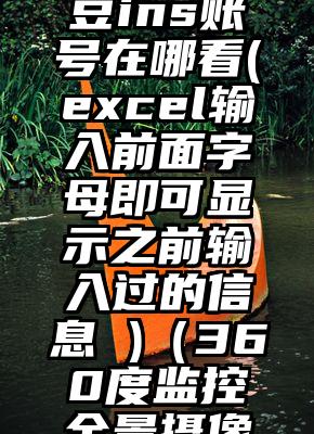 韩国女爱豆ins账号在哪看(excel输入前面字母即可显示之前输入过的信息 )（360度监控全景摄像头）
