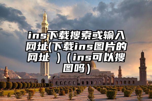 ins下载搜索或输入网址(下载ins图片的网址 )（ins可以搜图吗）