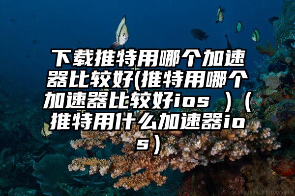 下载推特用哪个加速器比较好(推特用哪个加速器比较好ios )（推特用什么加速器ios）
