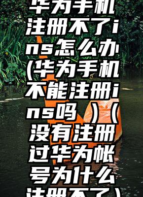 华为手机注册不了ins怎么办(华为手机不能注册ins吗 )（没有注册过华为帐号为什么注册不了）