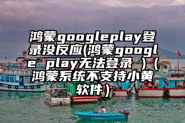 鸿蒙googleplay登录没反应(鸿蒙google play无法登录 )（鸿蒙系统不支持小黄软件）