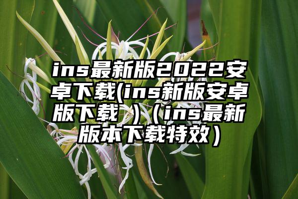 ins最新版2022安卓下载(ins新版安卓版下载 )（ins最新版本下载特效）