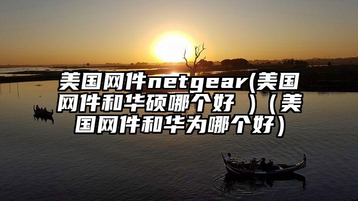 美国网件netgear(美国网件和华硕哪个好 )（美国网件和华为哪个好）