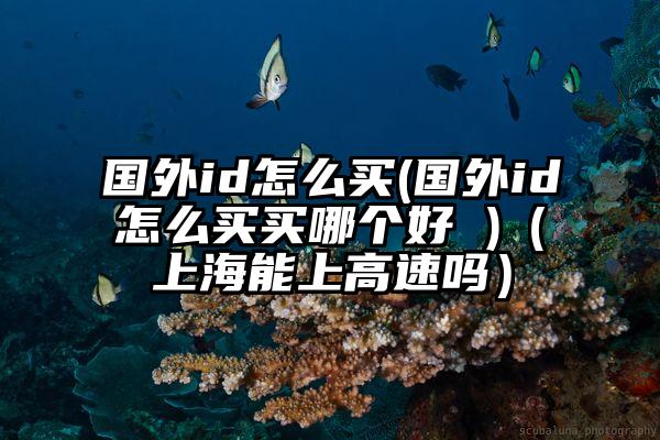 国外id怎么买(国外id怎么买买哪个好 )（上海能上高速吗）