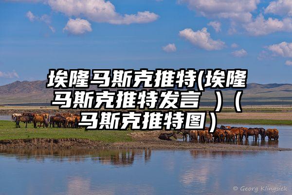 埃隆马斯克推特(埃隆马斯克推特发言 )(马斯克推特图)