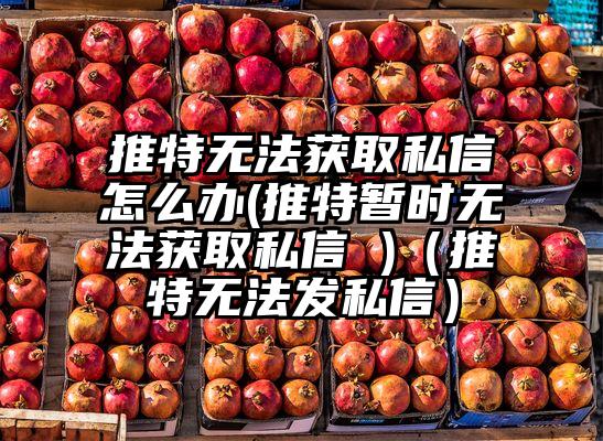 推特无法获取私信怎么办(推特暂时无法获取私信 )(推特无法发私信)